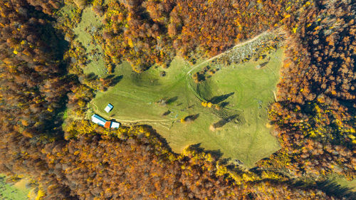 High angle view of tree trunk