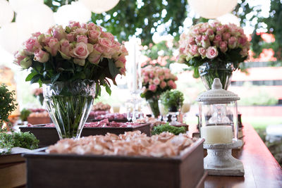 Close-up of potted plant on table