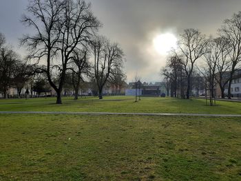 Bare trees on field against sky