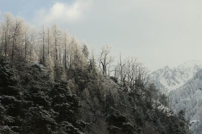 Scenic view of snow covered mountains against sky