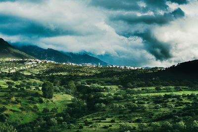 Low angle view of green landscape against sky