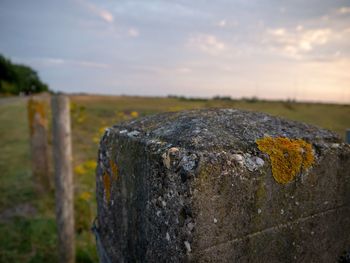 Close-up of old wooden fence on field against sky