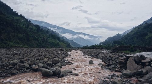 Stream amidst rocks in forest