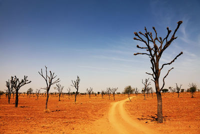 Scenic view of landscape against clear sky