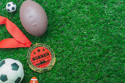 High angle view of soccer ball on field