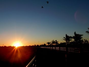 Silhouette of birds flying against clear sky during sunset