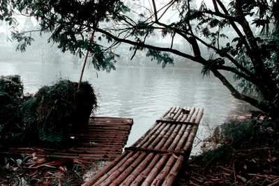 Bench by lake against trees