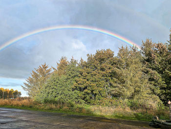 Scenic view of rainbow over trees against sky