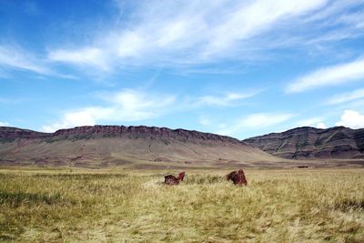 Menhirs on field against sky and mountains