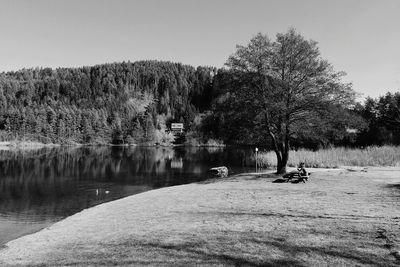 Trees by lake against clear sky