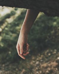 Close-up of woman hand in water