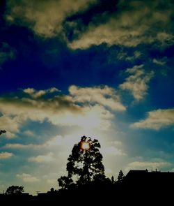 Low angle view of trees against cloudy sky