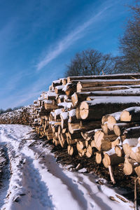 Stack of logs on snow covered field against sky