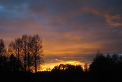 Silhouette trees against sky during sunset