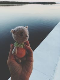 Close-up of hand holding strawberry over water