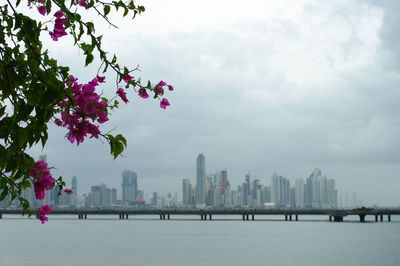 Scenic view of lake and buildings against sky