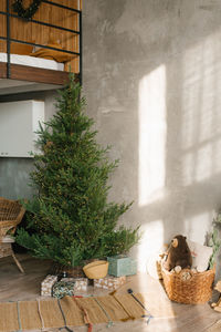 Christmas tree without toys in the scandinavian-style living room interior