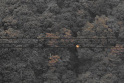 Full frame shot of white background