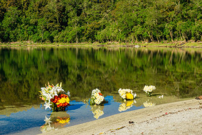 Scenic view of lake