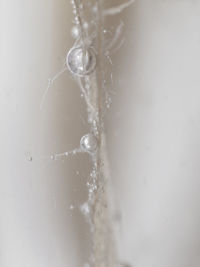 Close-up of water