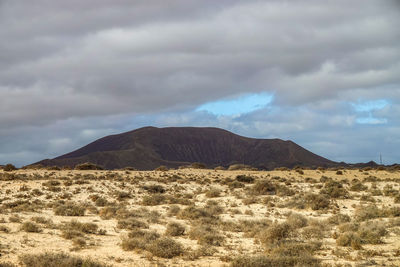 Scenic view of desert against sky