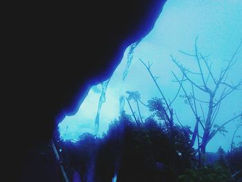 Close-up of silhouette trees against sky during sunset