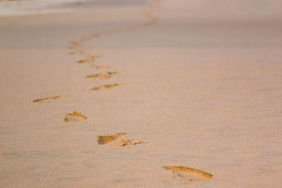 Close-up of sand on beach