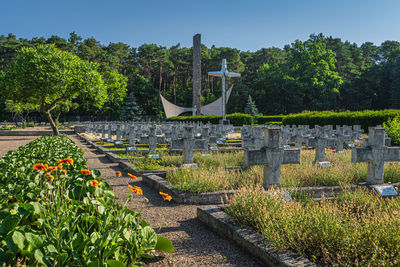 View of flowering plants in garden