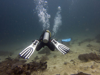 Scuba diving in sea