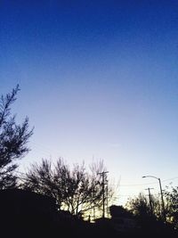 Low angle view of bare trees against clear blue sky