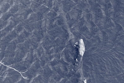 View of sea through water