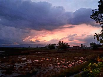 Scenic view of field against sky during sunset