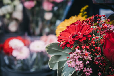 Close-up of flowers on sale at a florist shop, london, uk.