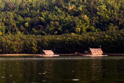 Scenic view of lake in forest