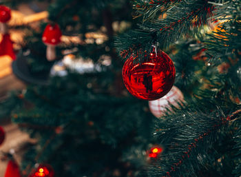 Close-up of christmas decorations hanging on tree