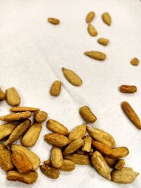 High angle view of coffee beans on white background