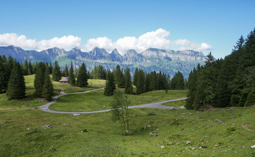 Scenic view of field against sky