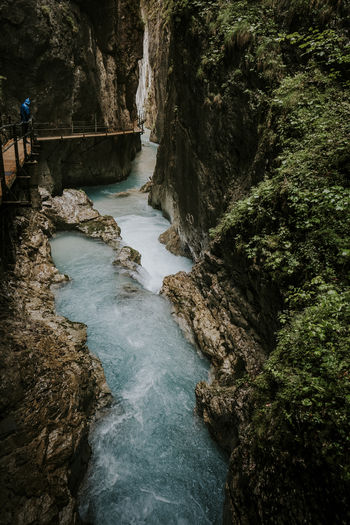 Scenic view of waterfall in forest