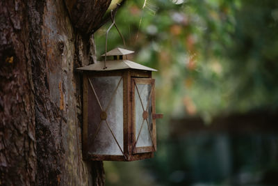 Close-up of birdhouse on tree trunk