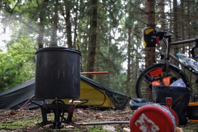 View of truck in forest