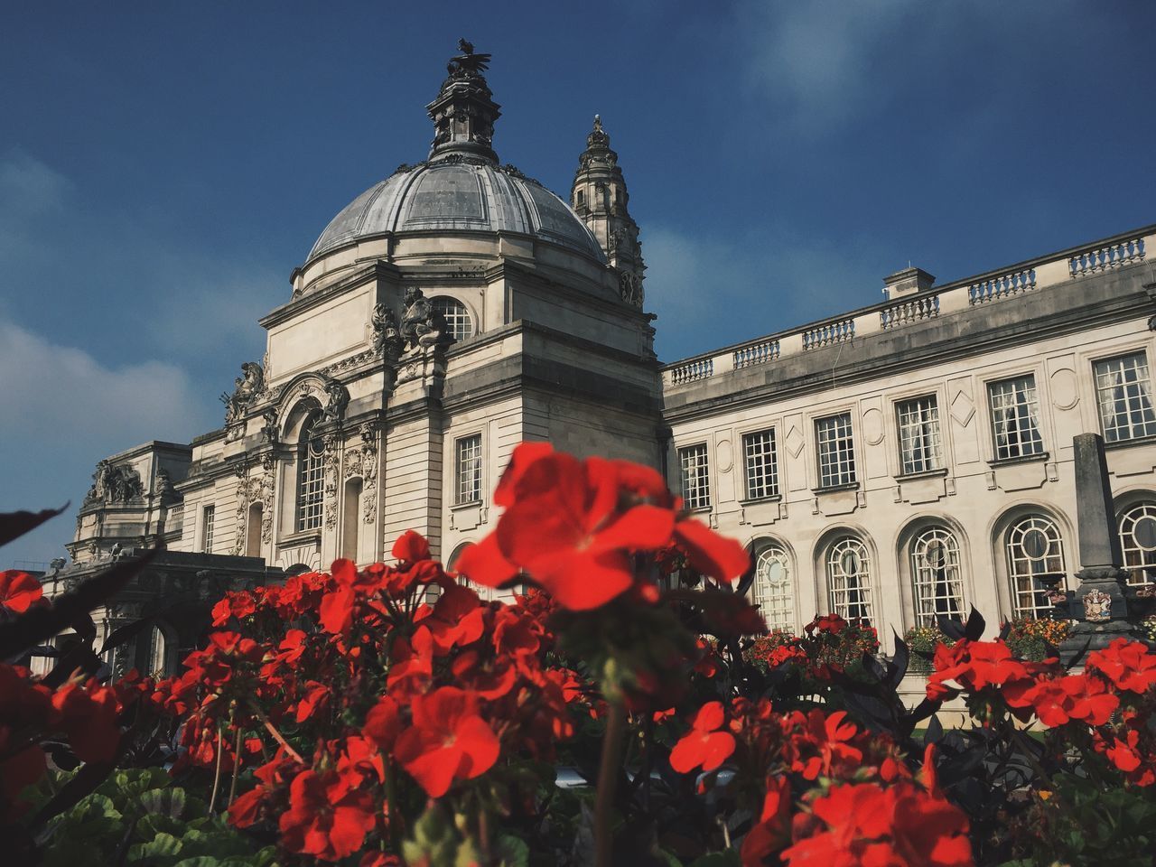 LOW ANGLE VIEW OF RED FLOWERING PLANTS AGAINST BUILDING