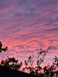 Low angle view of silhouette plants against dramatic sky