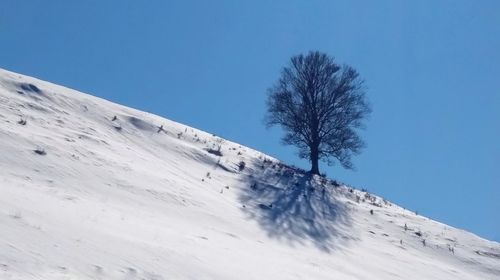 Low angle view of snowcapped mountain against clear blue sky