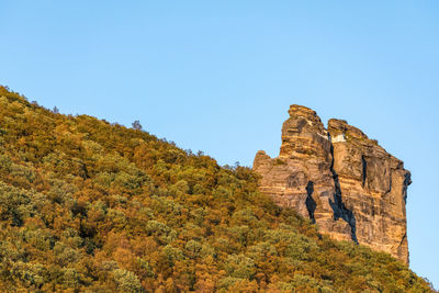 Scenic view of landscape against clear sky