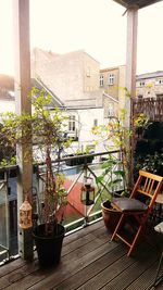 Potted plants on table by building in city