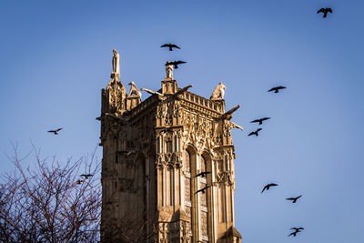 Low angle view of birds flying in sky