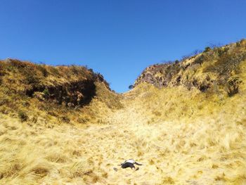 Scenic view of landscape against clear blue sky