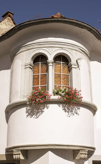 Low angle view of potted plant on building