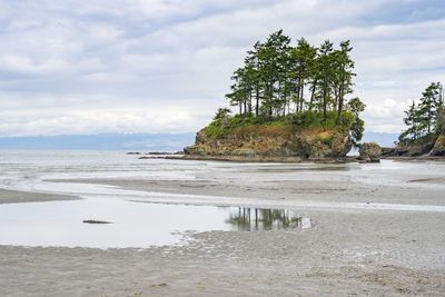 Scenic view of beach against sky