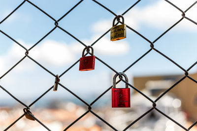 Close-up of padlocks on chainlink fence